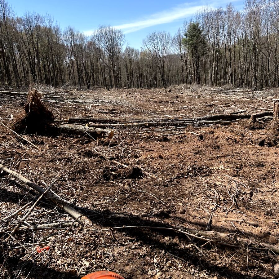 septic installation and land clearing services in ny-059